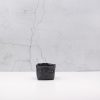 cesto sostenible papel lavable negro decoracion minimalista macetero oficina organizacion